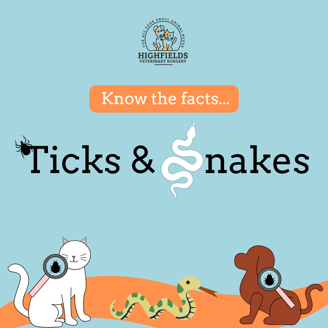 Understanding Ticks & Snakes: The Risks and Prevention Understanding Ticks & Snakes: The Risks and Prevention